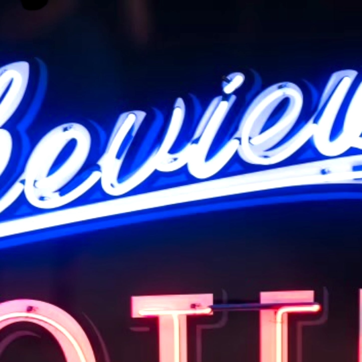 Lakeview Motel Glass Neon Porcelain Vintage Advertising Reproduction with Steel Can